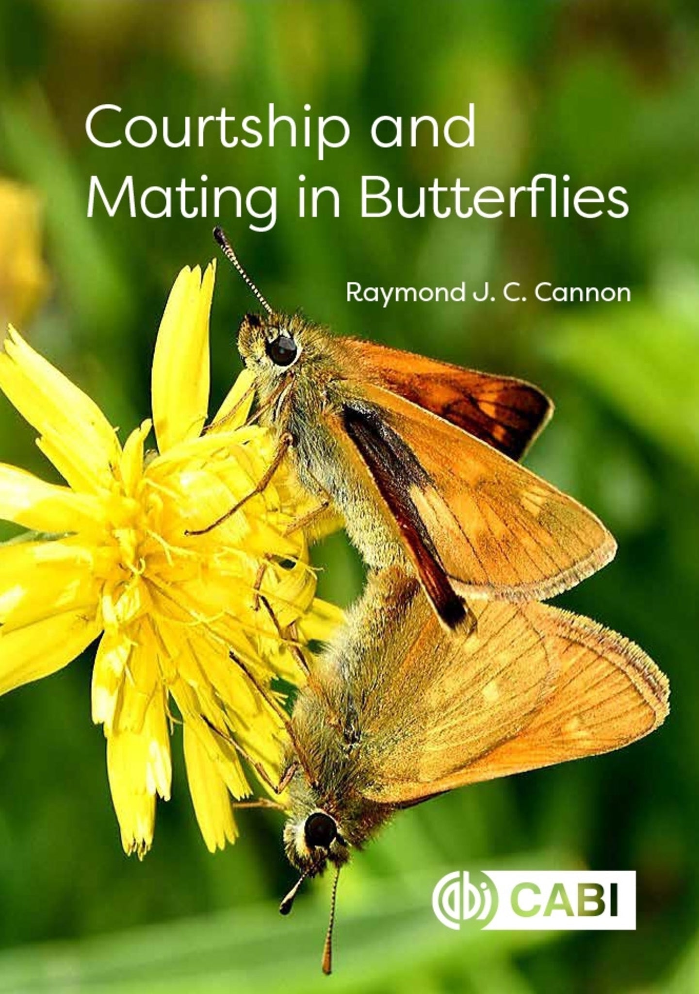 Cover image for Courtship and Mating in Butterflies ISBN 9781836995272